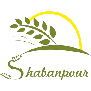 برنج شعبانپور | Shabanpour Rice